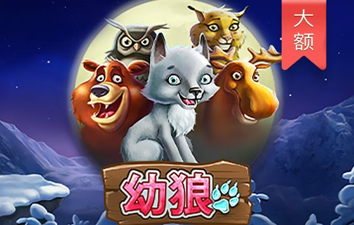 ng南宫国际app下载